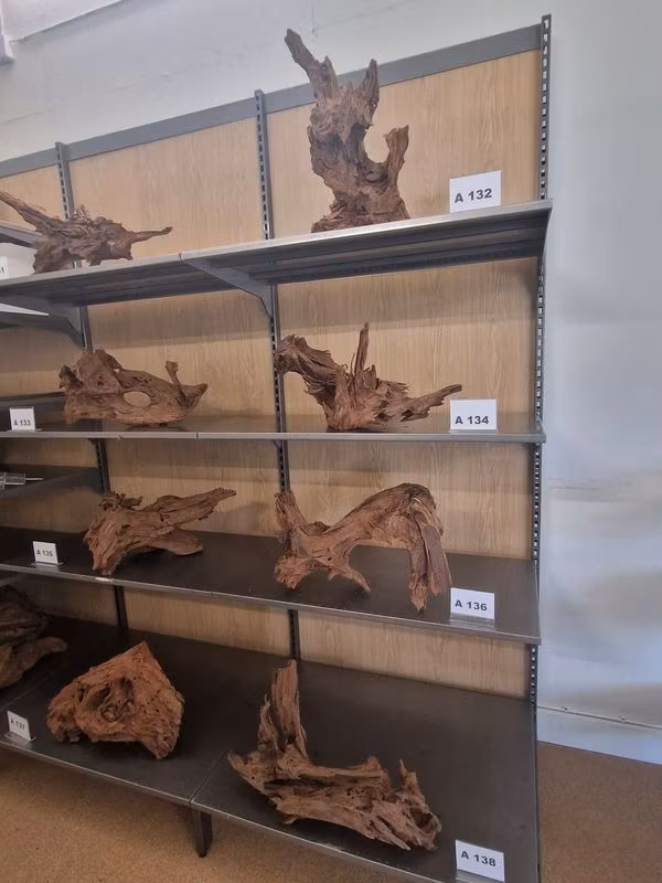 Mangroverötter XXL 50-65 cm Köp roten på bilden A131-138