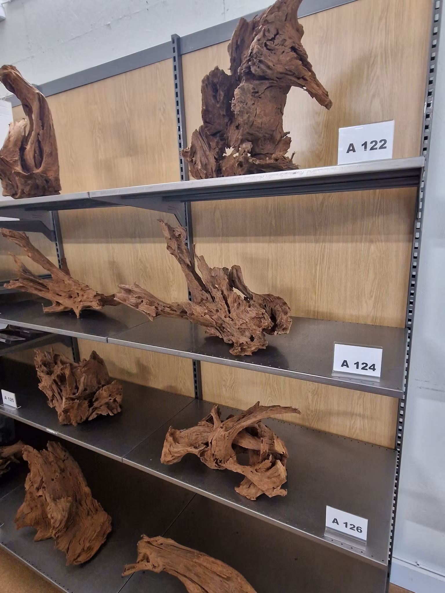 Mangroverötter XXL 50-65 cm Köp roten på bilden