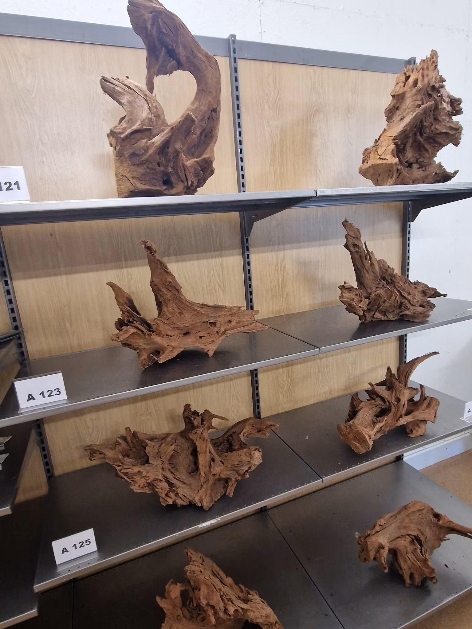 Mangroverötter XXL 50-65 cm Köp roten på bilden