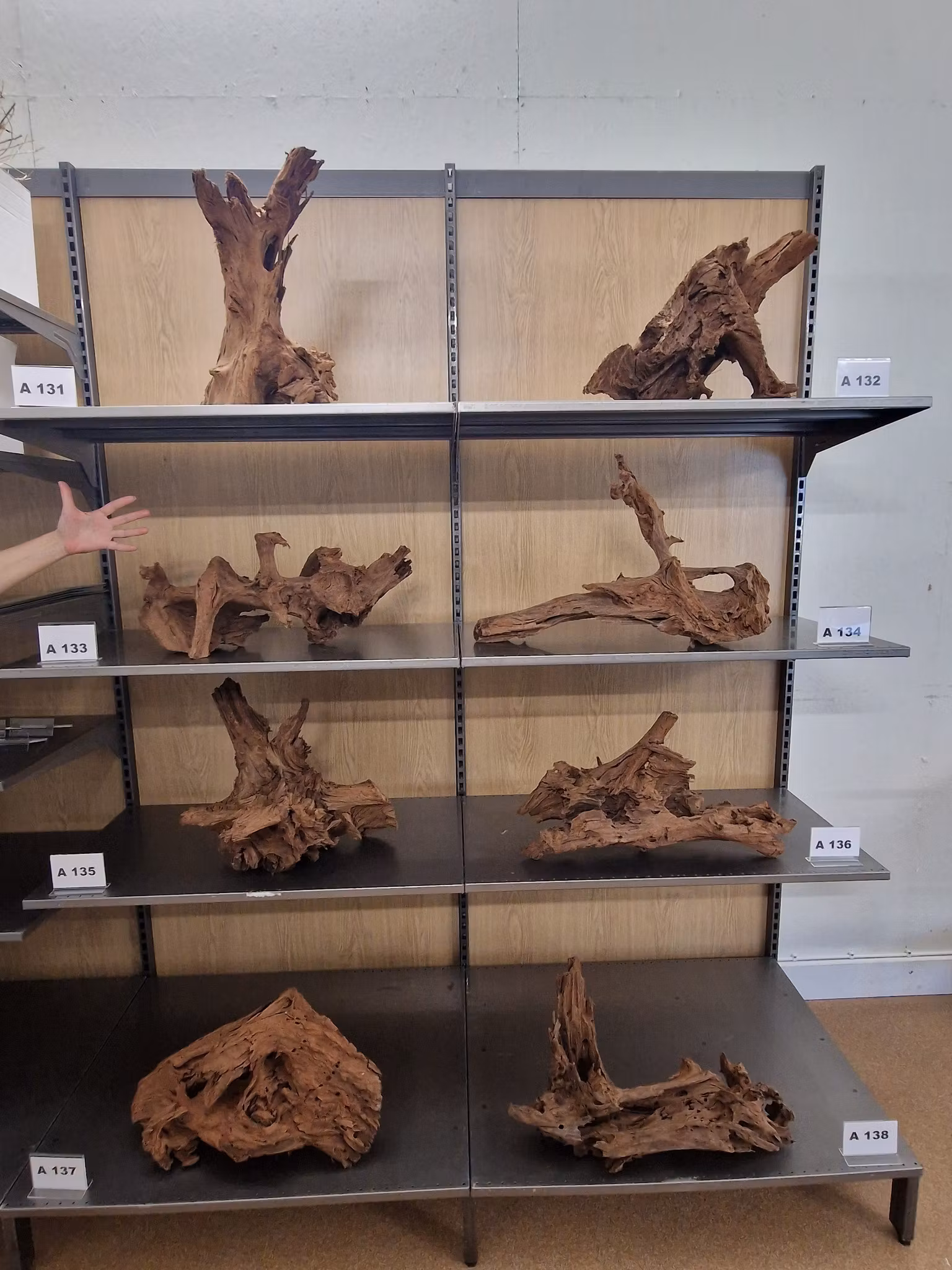 Mangroverötter XXL 50-65 cm Köp roten på bilden A131-138