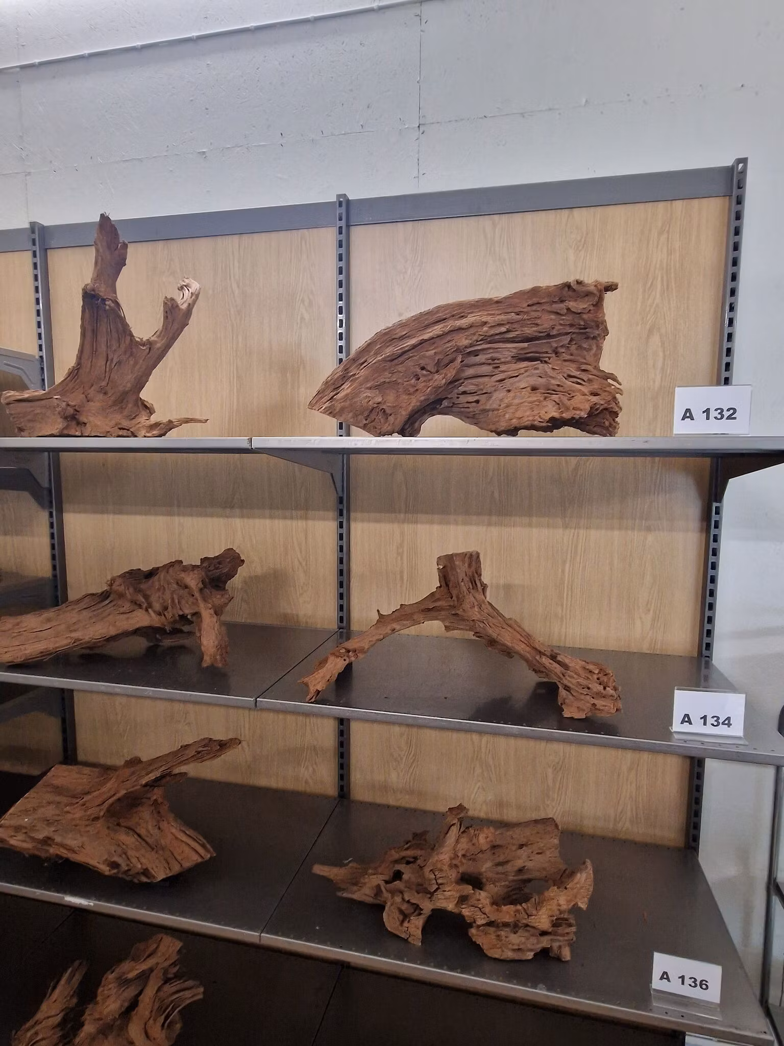 Mangroverötter XXL 50-65 cm Köp roten på bilden A131-138