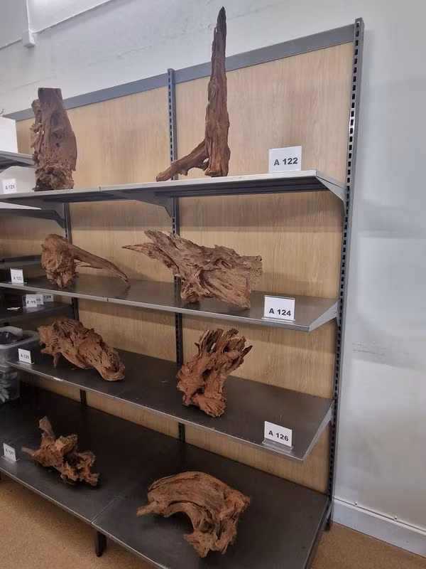 Mangroverötter XXL 50-65 cm Köp roten på bilden
