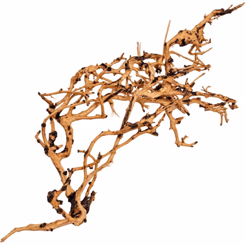 Thailand Branch Wood - Small