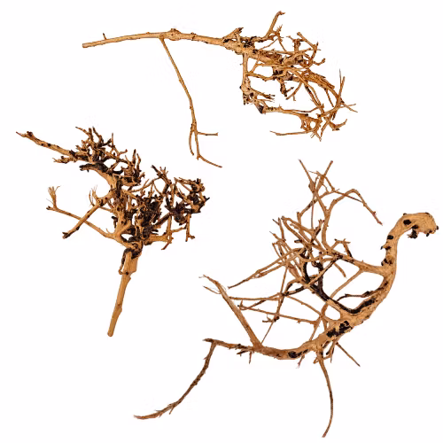 Thailand Branch Wood - Small