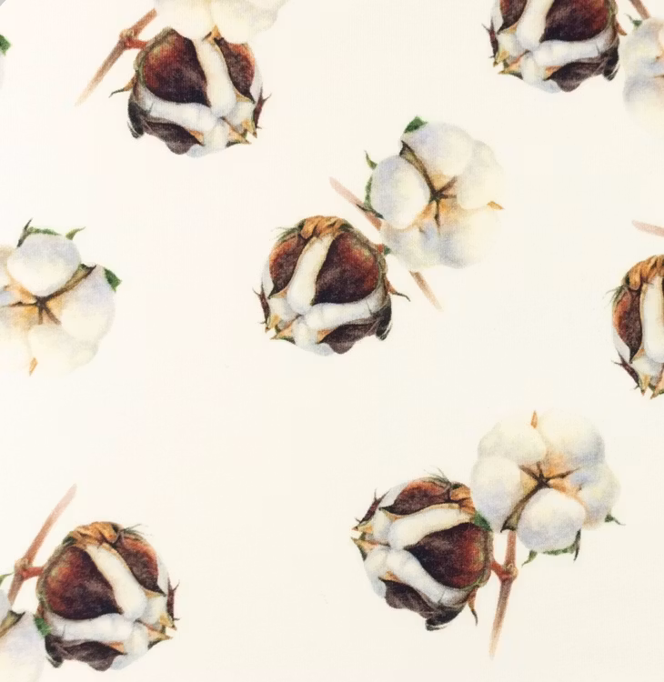 Jersey, store bomullsplanter