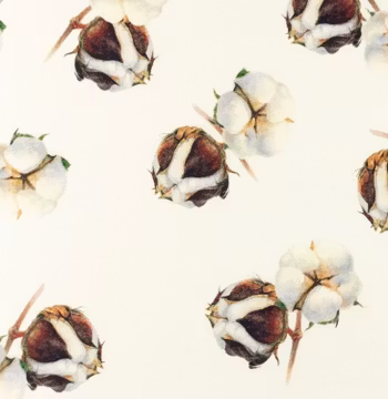 Jersey, store bomullsplanter