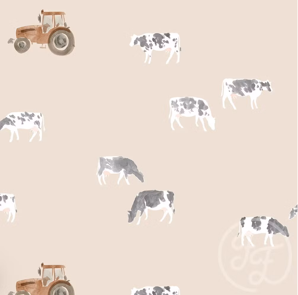 Jersey cows og traktor sand bakgrunn