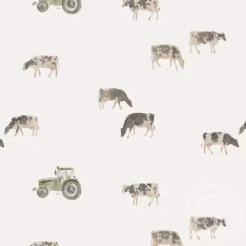 OD- Cows