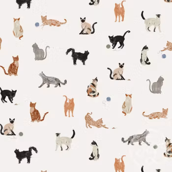 OD- Cats