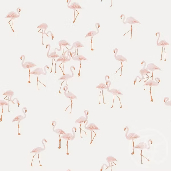 OD-  Flamingos