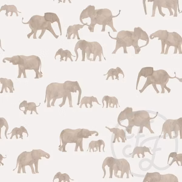 OD- Elephants Grey