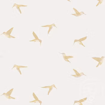 OD- Hummingbird
