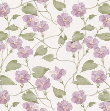 OD- Ipomea Lilac White