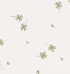 OD- Four Leaf Clover Green