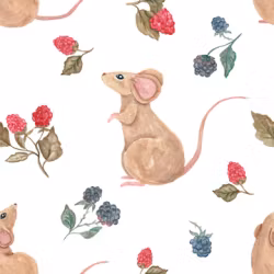 OD- Mouse & Raspberry