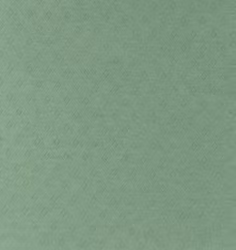 Pointelle gammel grønn