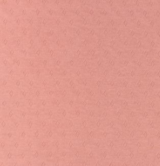 Pointelle gammelrosa