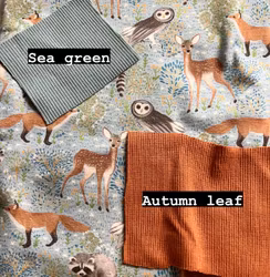 OD- Spring Woodland Azure