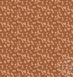 OD- Petite fleur pecan