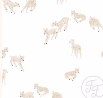 OD- Little lambs white