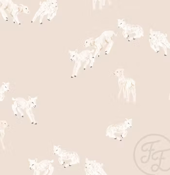 OD- Little lambs beige