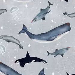 OD- Sealife magic grey
