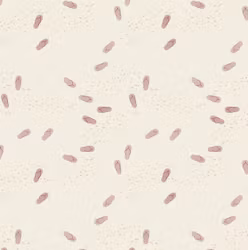 OD- Flip flop purple beige