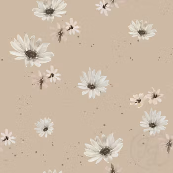 OD- Margaret flowers