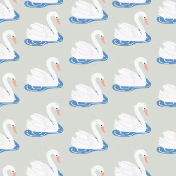 OD- Swans in nebula