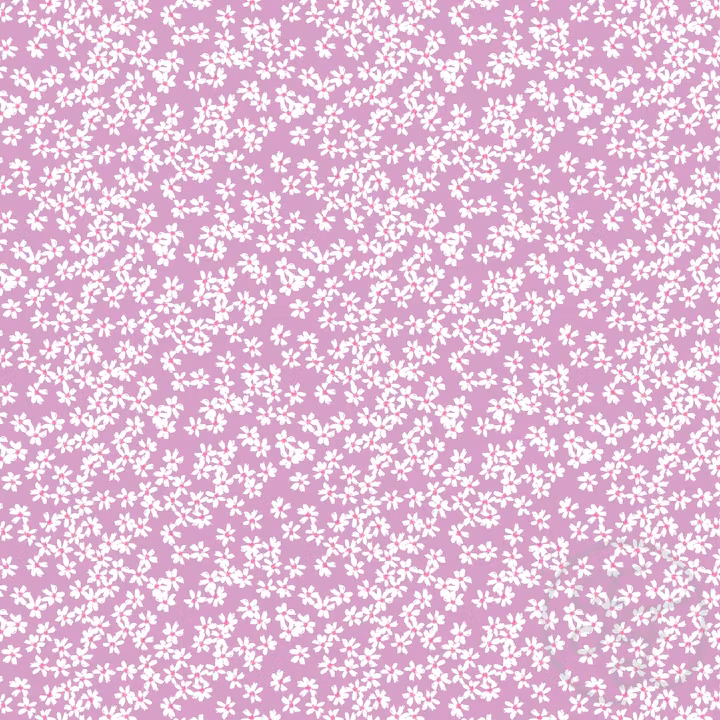 OD- Snow in summer lilac