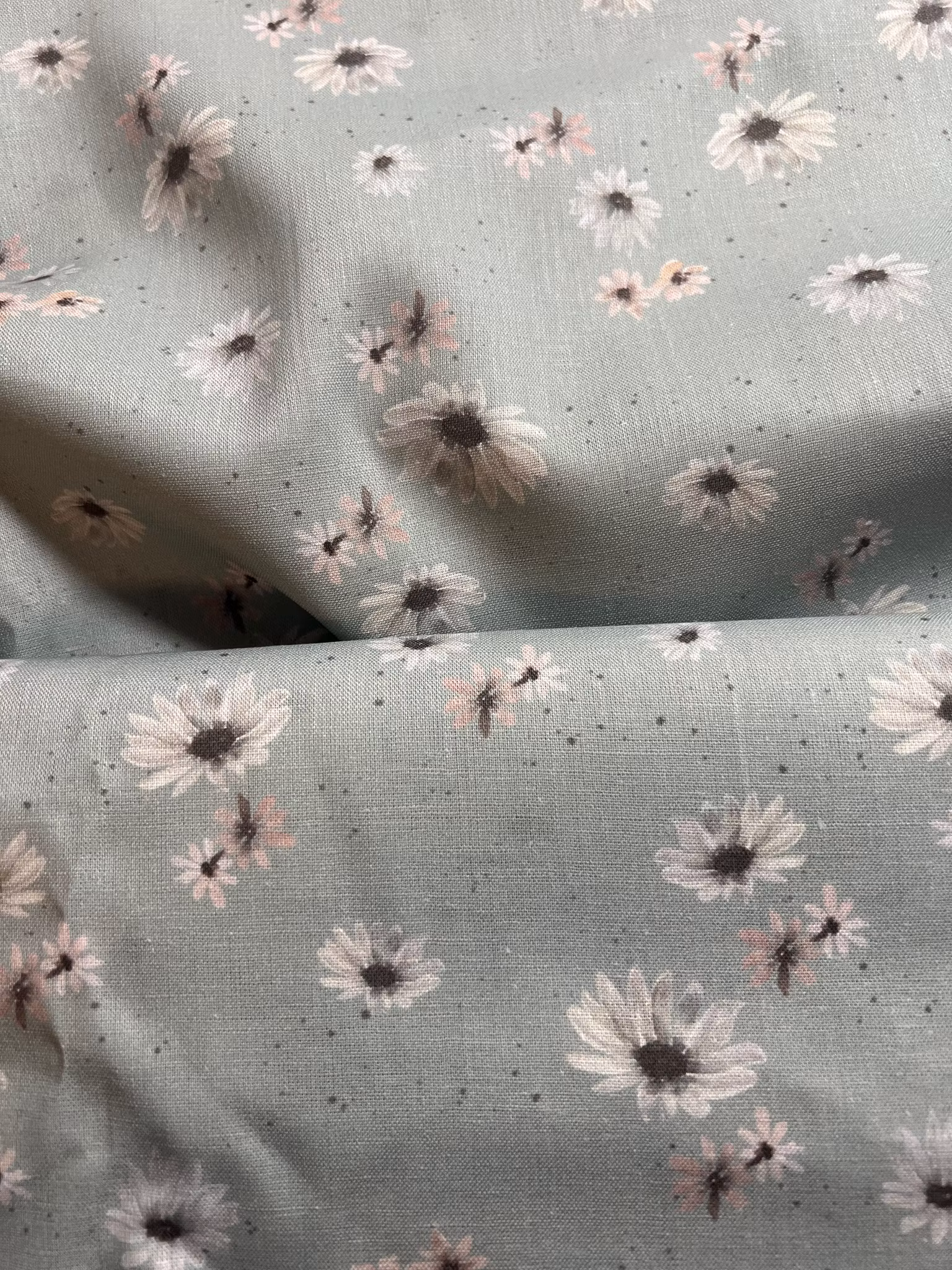 Lin margerit sage flowers