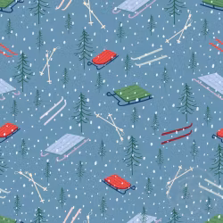 OD- Tobaggan skis in grey blue