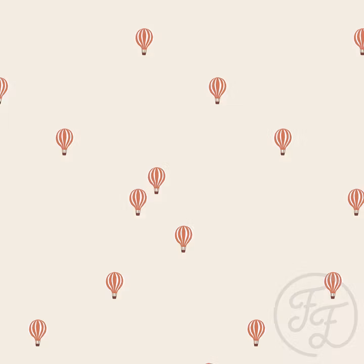 OD- Little hotairballon