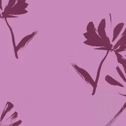 OD- Floraison magenta