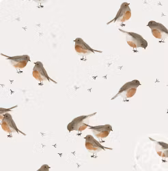 OD- Robin
