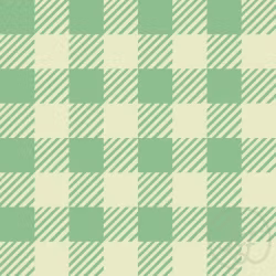 OD- Gingham stripes in Mint Julep