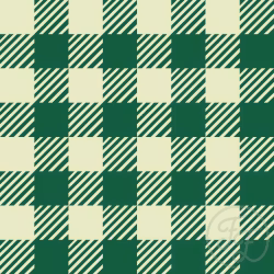OD- Gingham stripes in Jewel
