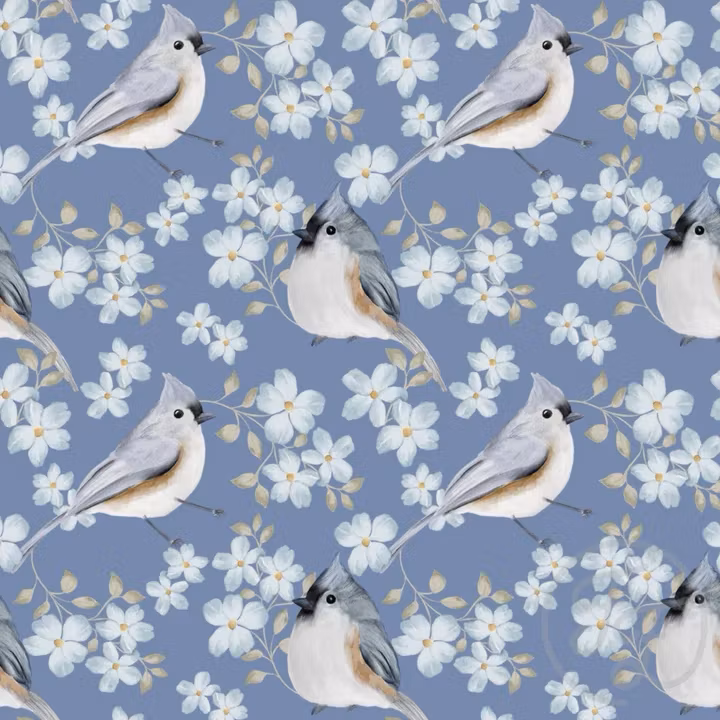 OD- Flowery Titmouse Blue