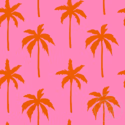 OD- Miami Palm