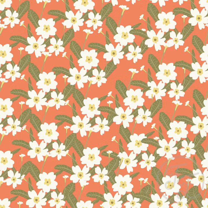 OD- Primeroses flower in Bittersweet