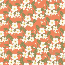 OD- Primeroses flower in Bittersweet