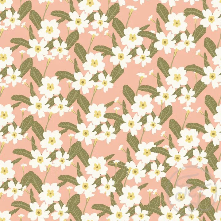 OD- Primeroses flower in Rose Fog