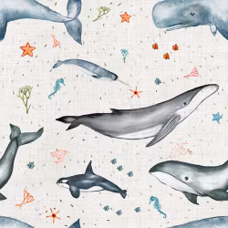 OD- Ocean and Whale