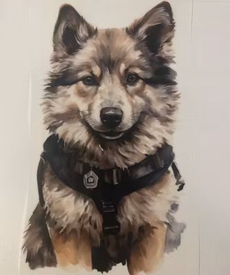 Strykemerke hund med sele