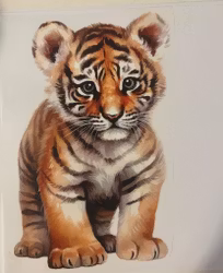 DTF Strykemerke tigerbaby