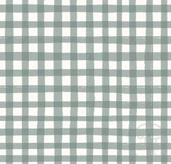 OD- Picnic Gingham Teal
