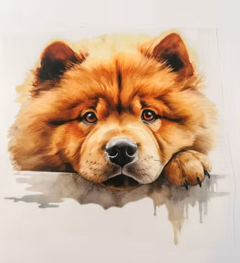 Strykemerke chow chow hund