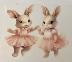 Strykemerke to kaniner i strutteskjørt stor