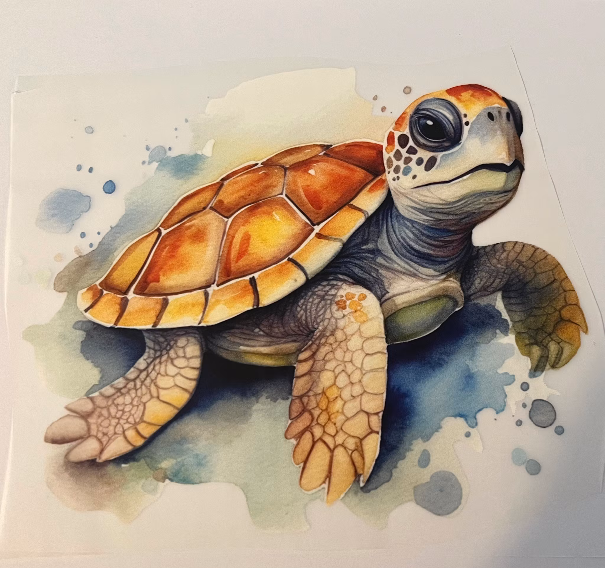 DTF Strykemerke skilpadde