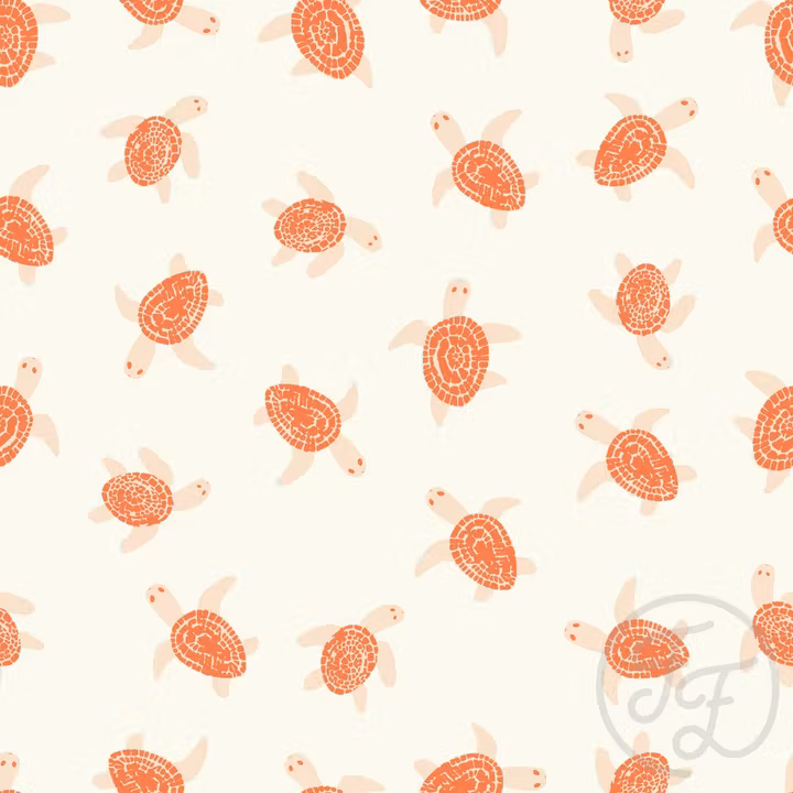 OD- Little Turtle in Vista White